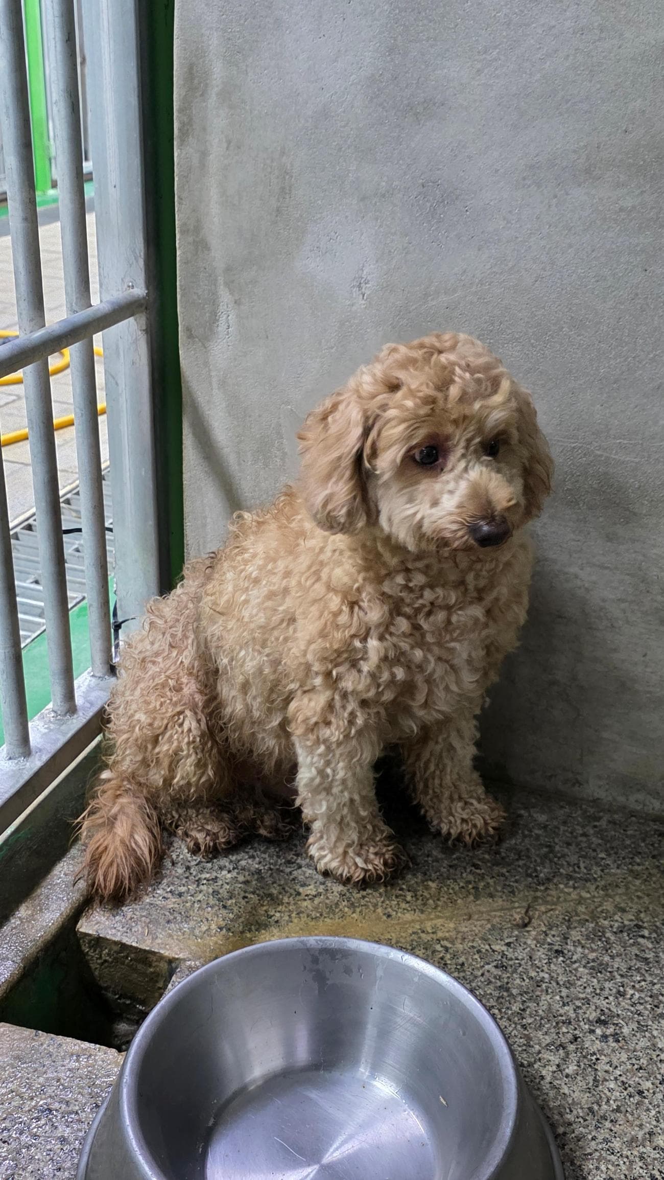 경상북도 영주시 000128 구조 사진