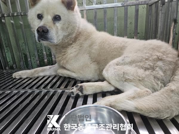 경기도 양주시 000114 구조 사진