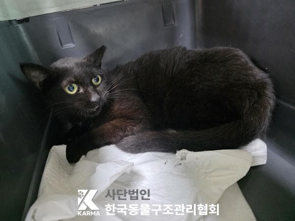 서울특별시 양주시 000200 구조 사진