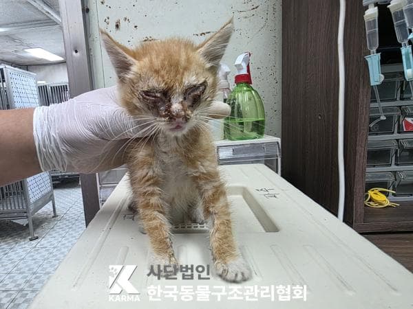 경기도 양주시 000200 구조 사진