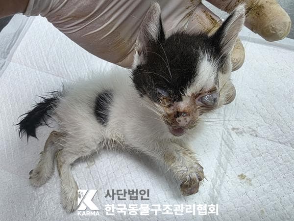 경기도 양주시 000200 구조 사진
