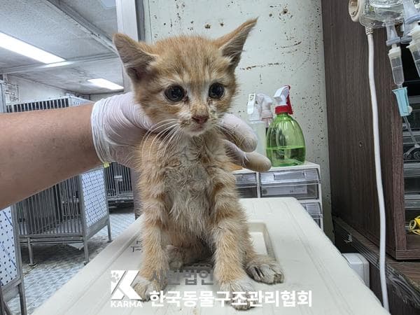 경기도 양주시 000200 구조 사진