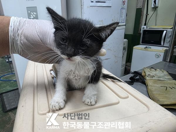 경기도 양주시 000200 구조 사진