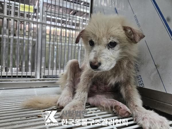 경기도 양주시 000114 구조 사진