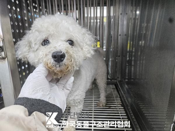 경기도 양주시 000018 구조 사진