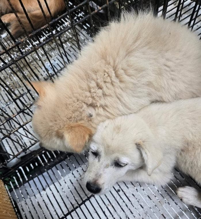 000114