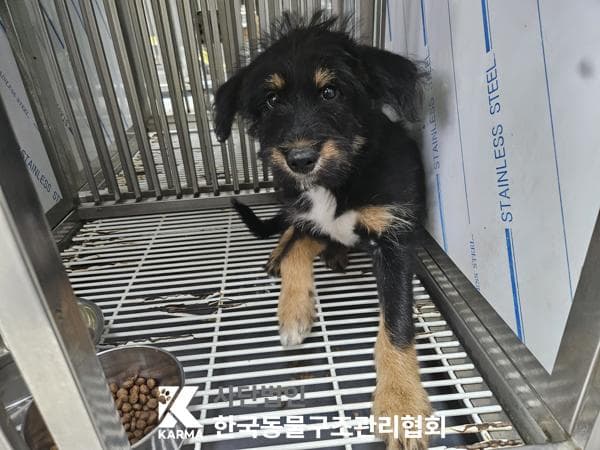 경기도 양주시 000114 구조 사진