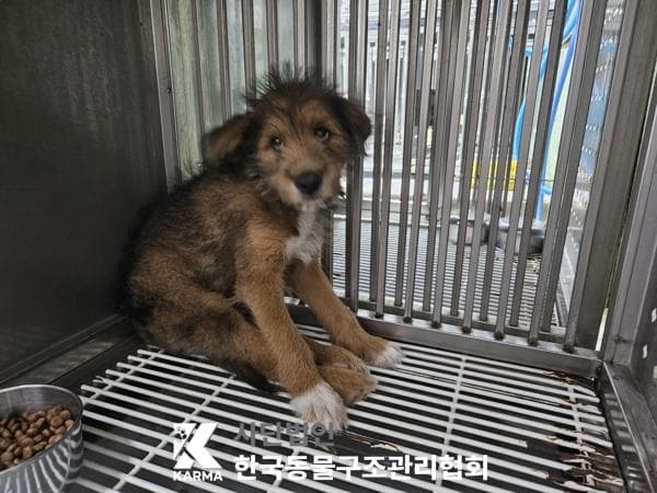 경기도 양주시 000114 구조 사진