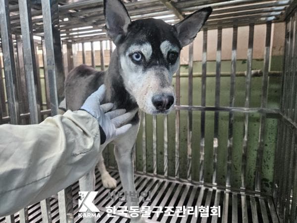 경기도 양주시 000103 구조 사진