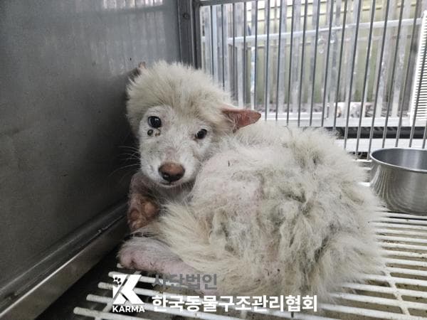 경기도 양주시 000114 구조 사진