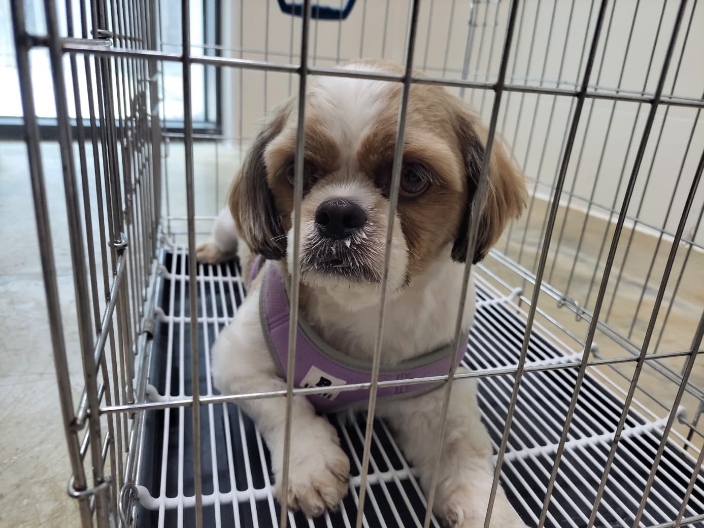 경기도 고양시 덕양구 000101 구조 사진