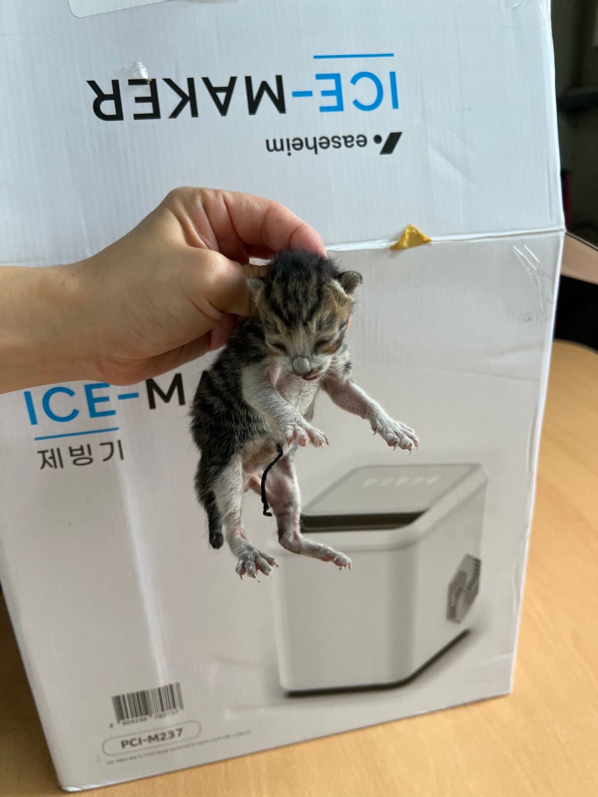 부산광역시 강서구 000200 구조 사진