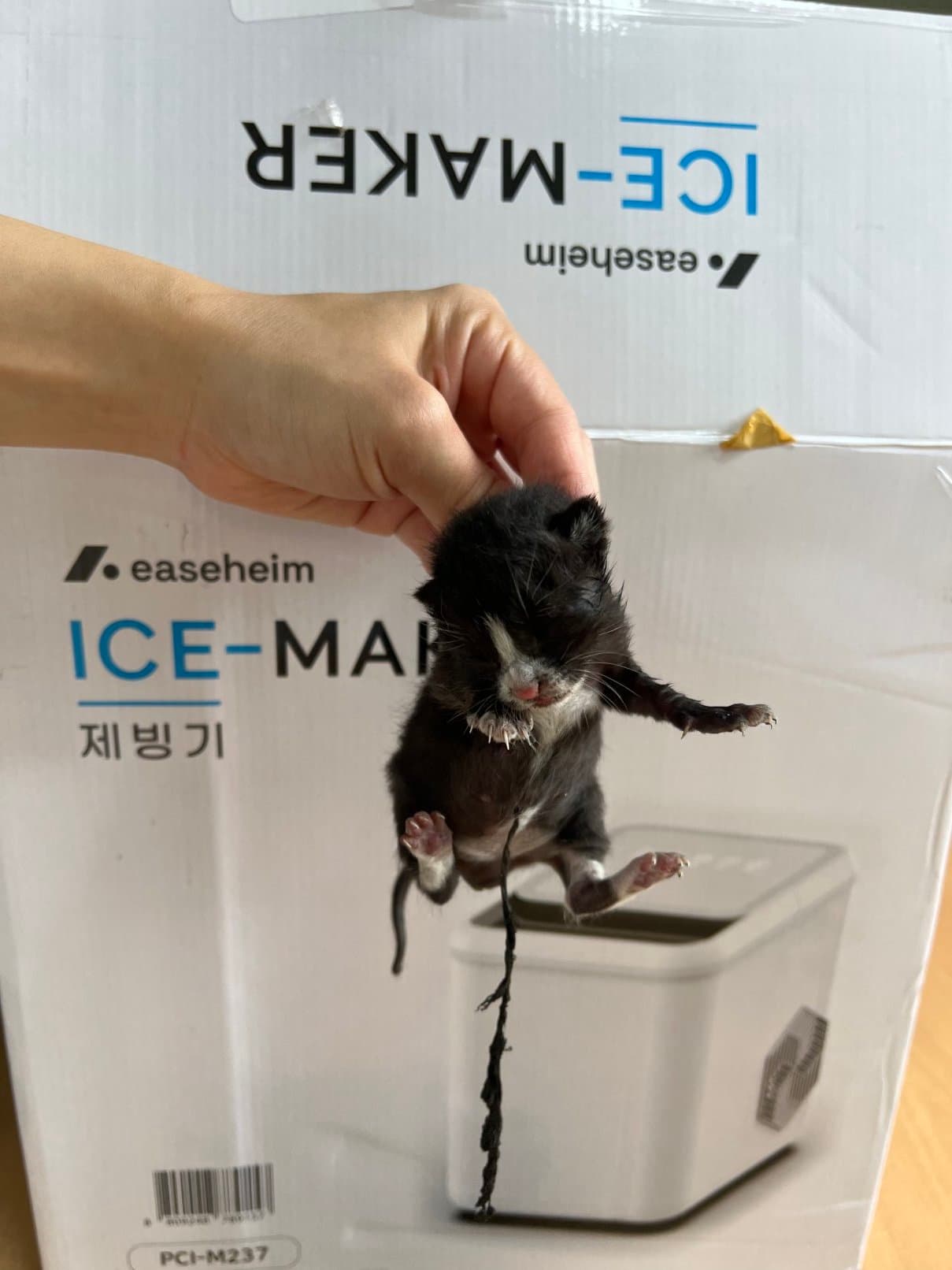 부산광역시 강서구 000200 구조 사진