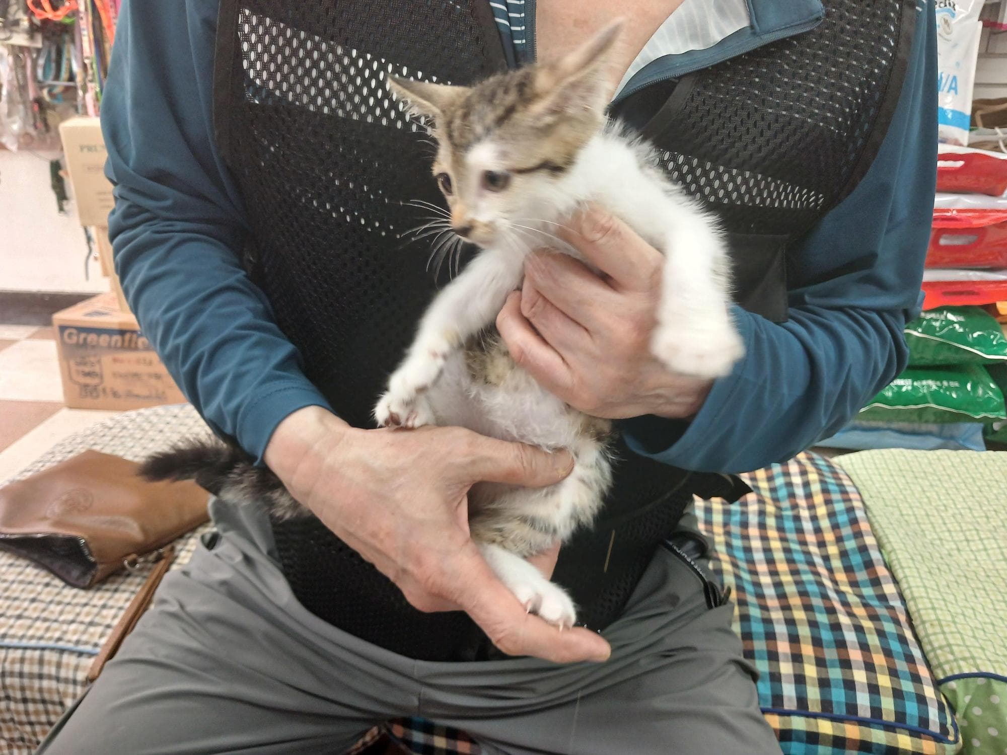 인천광역시 남동구 000200 구조 사진