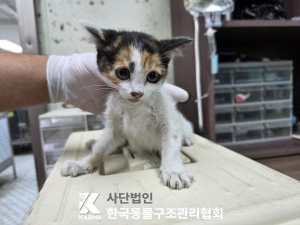 경기도 양주시 000200 구조 사진