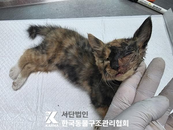 경기도 양주시 000200 구조 사진