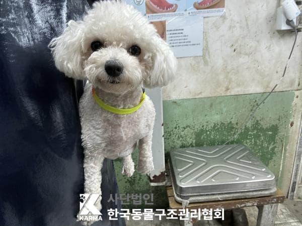 경기도 양주시 000128 구조 사진