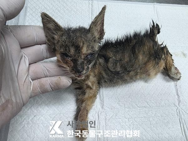 경기도 양주시 000200 구조 사진