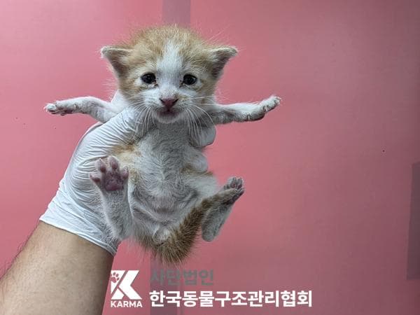 경기도 양주시 000200 구조 사진