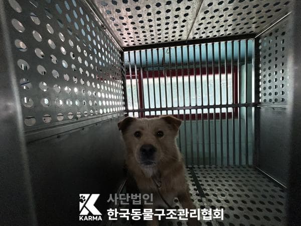 경기도 양주시 000114 구조 사진