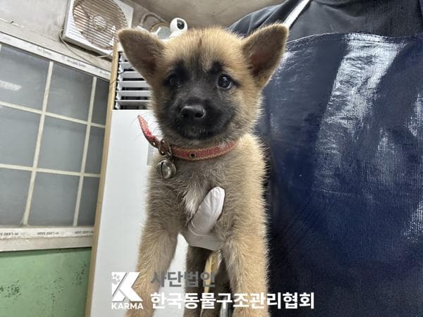 경기도 양주시 000114 구조 사진