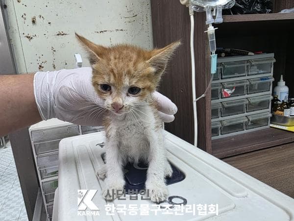경기도 양주시 000200 구조 사진