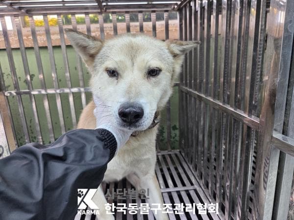 경기도 양주시 000114 구조 사진