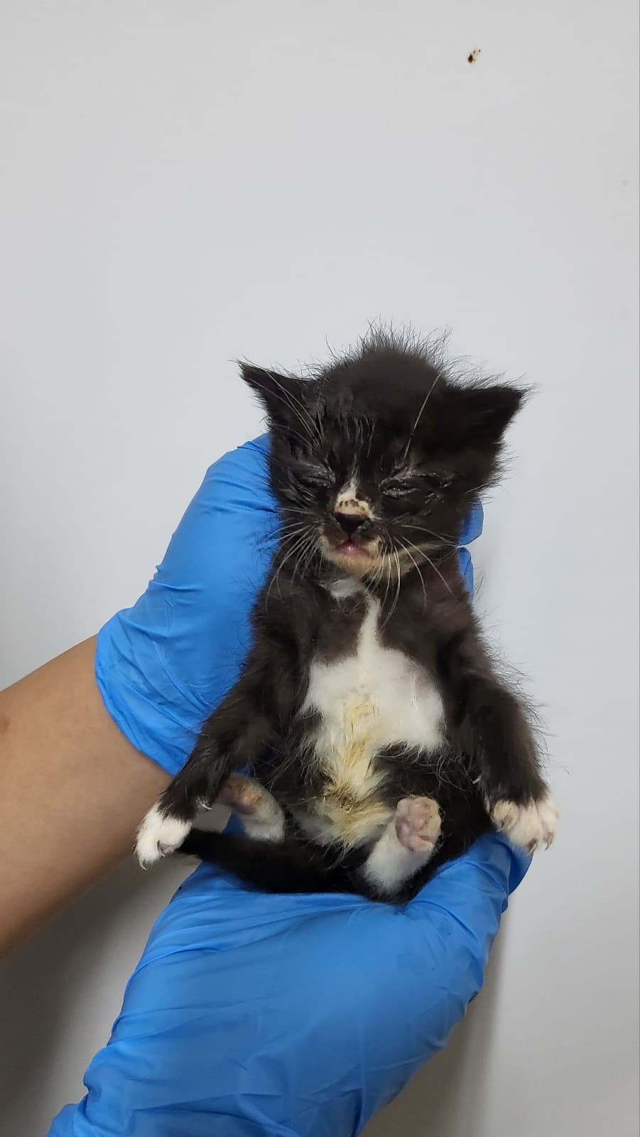 경기도 안성시 000200 구조 사진