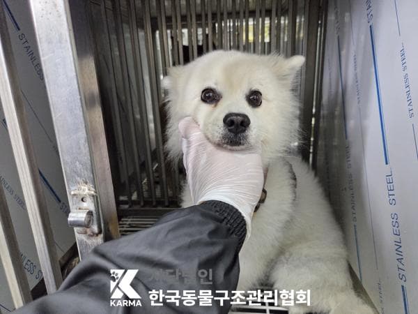경기도 양주시 000124 구조 사진