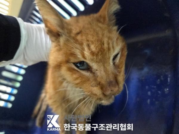 경기도 양주시 000200 구조 사진