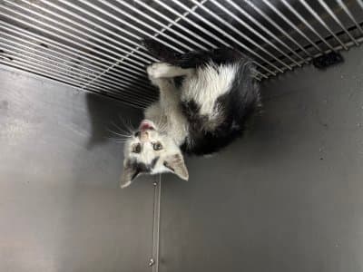 부산광역시 해운대구 000212 구조 사진