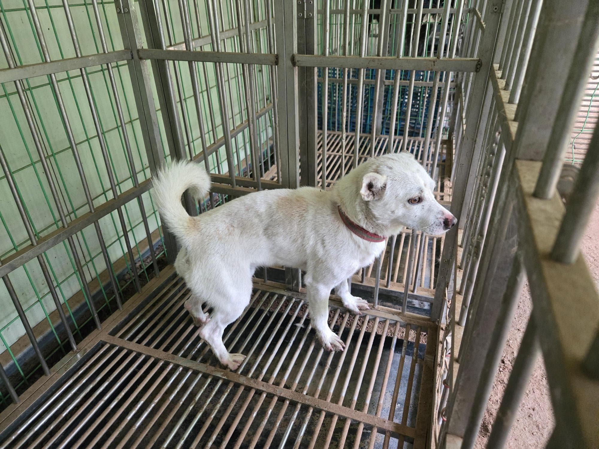 경상남도 의령군 000114 구조 사진
