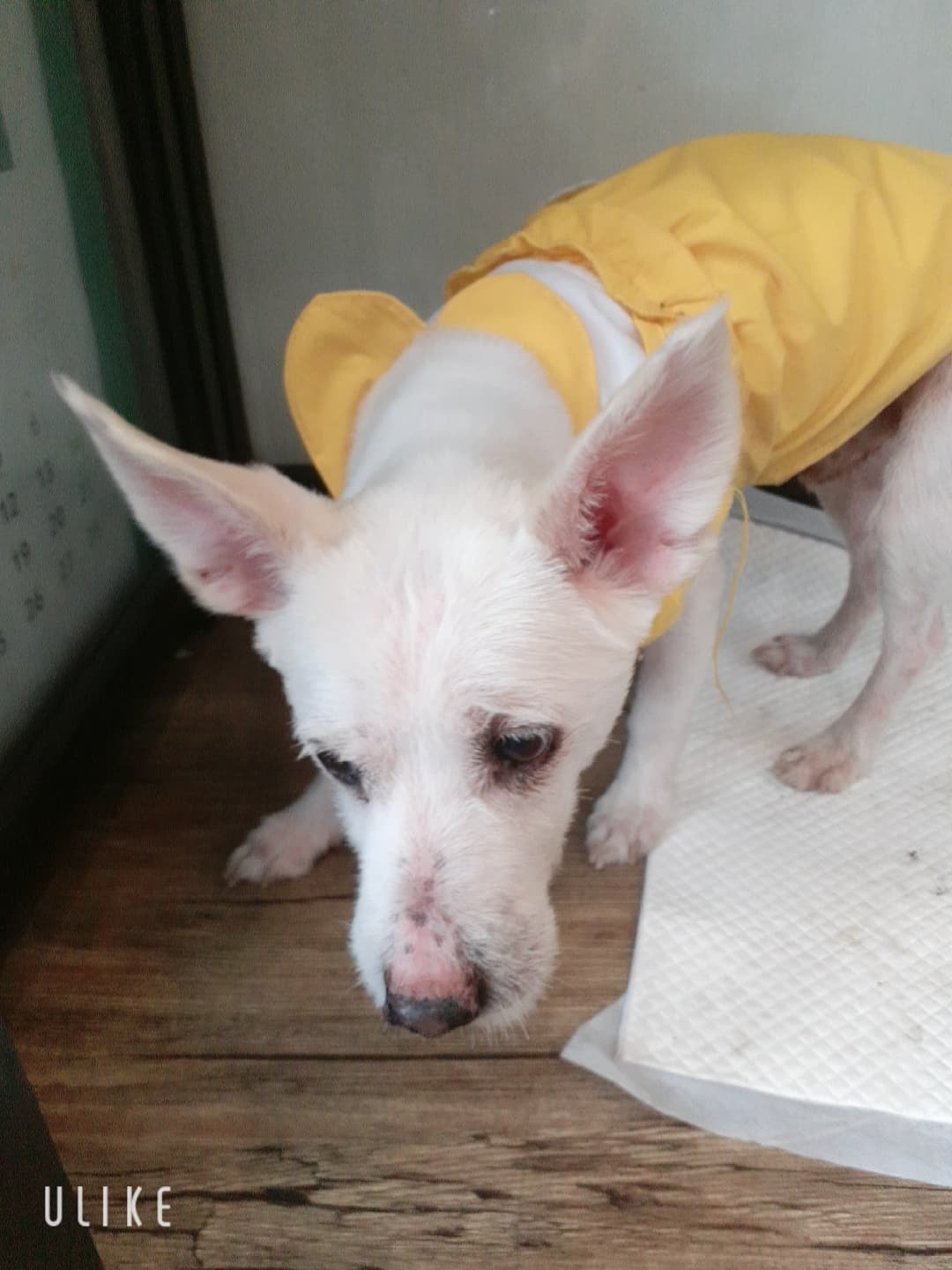 경기도 오산시 000114 구조 사진
