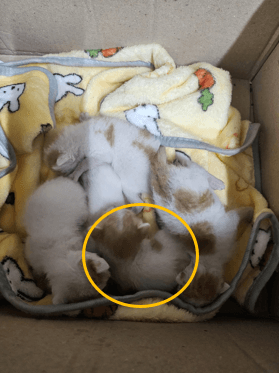 울산광역시 울주군 000200 구조 사진