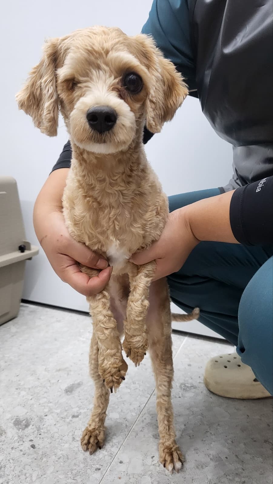 경기도 안성시 000115 구조 사진