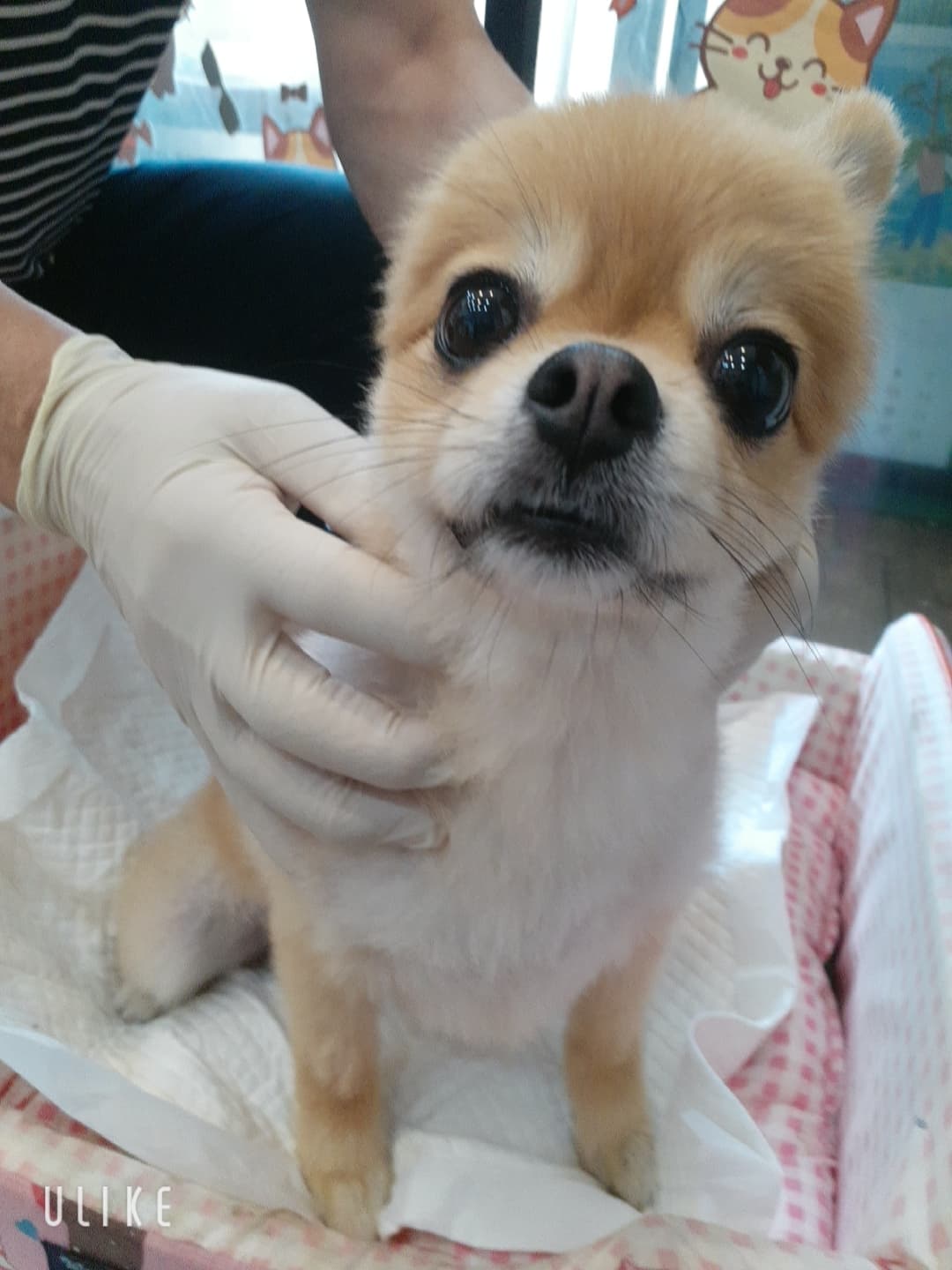 경기도 오산시 000089 구조 사진