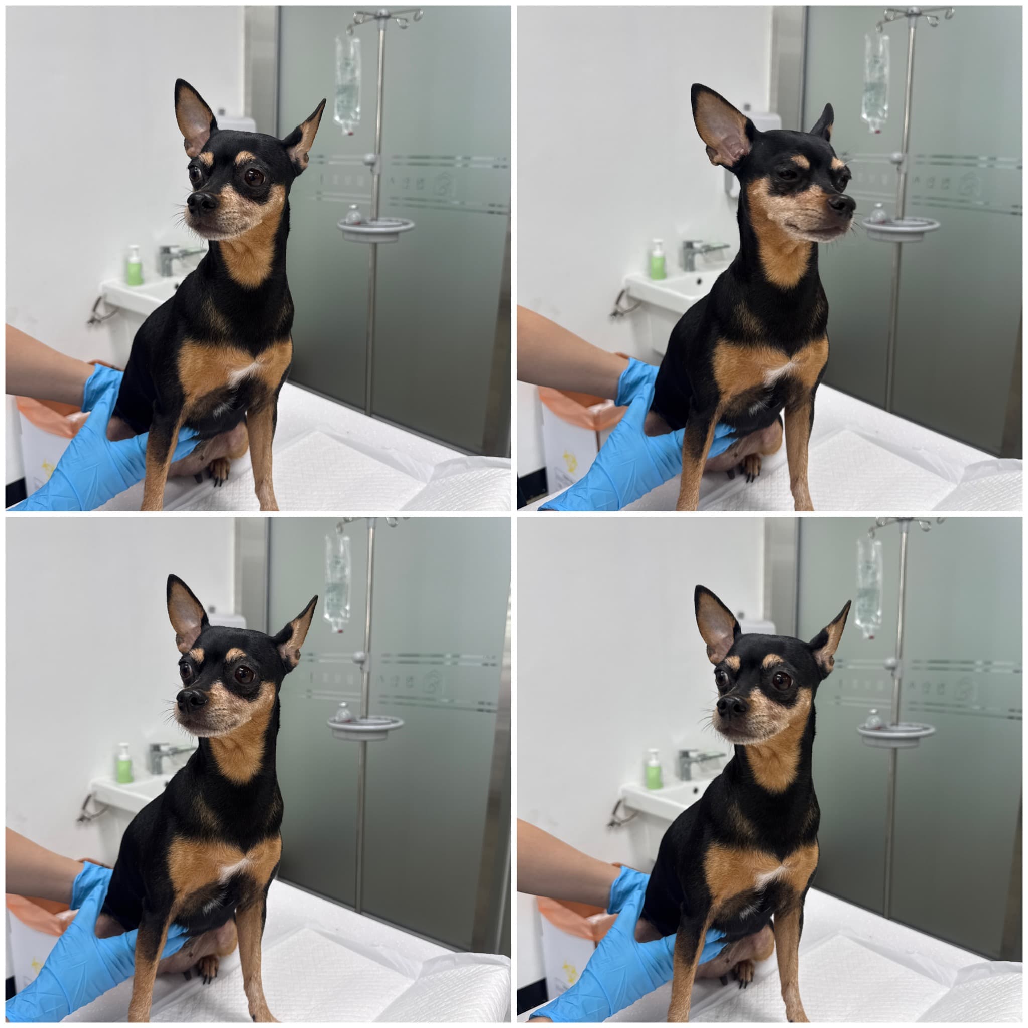 충청남도 천안시 동남구 000077 구조 사진