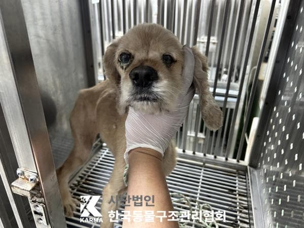 서울특별시 양주시 000125 구조 사진