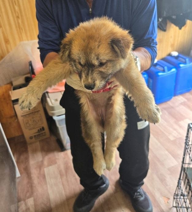 충청남도 공주시 000114 구조 사진