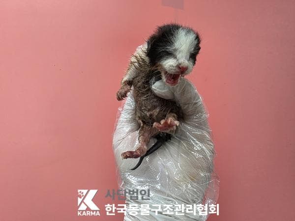서울특별시 양주시 000200 구조 사진