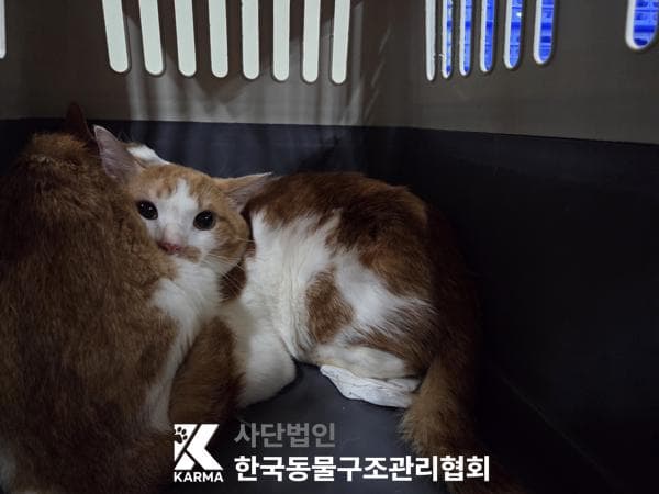 서울특별시 양주시 000200 구조 사진