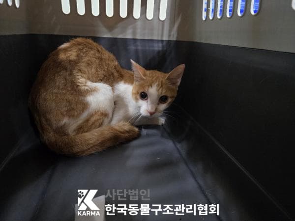 서울특별시 양주시 000200 구조 사진