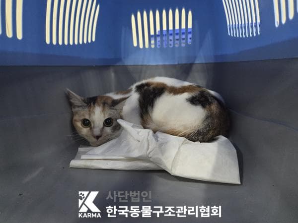 서울특별시 양주시 000200 구조 사진