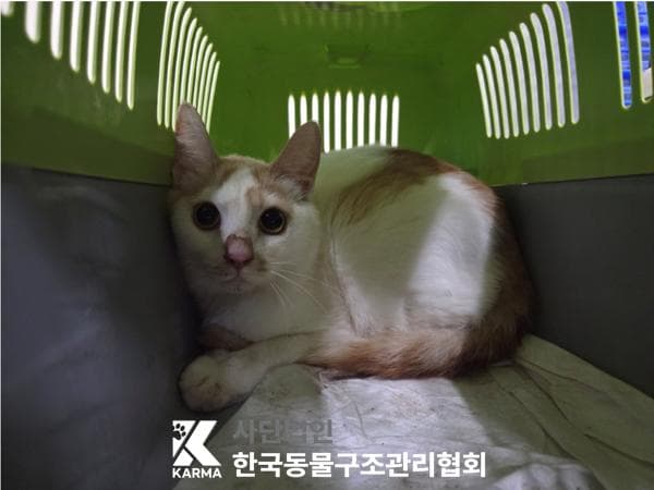 서울특별시 양주시 000200 구조 사진