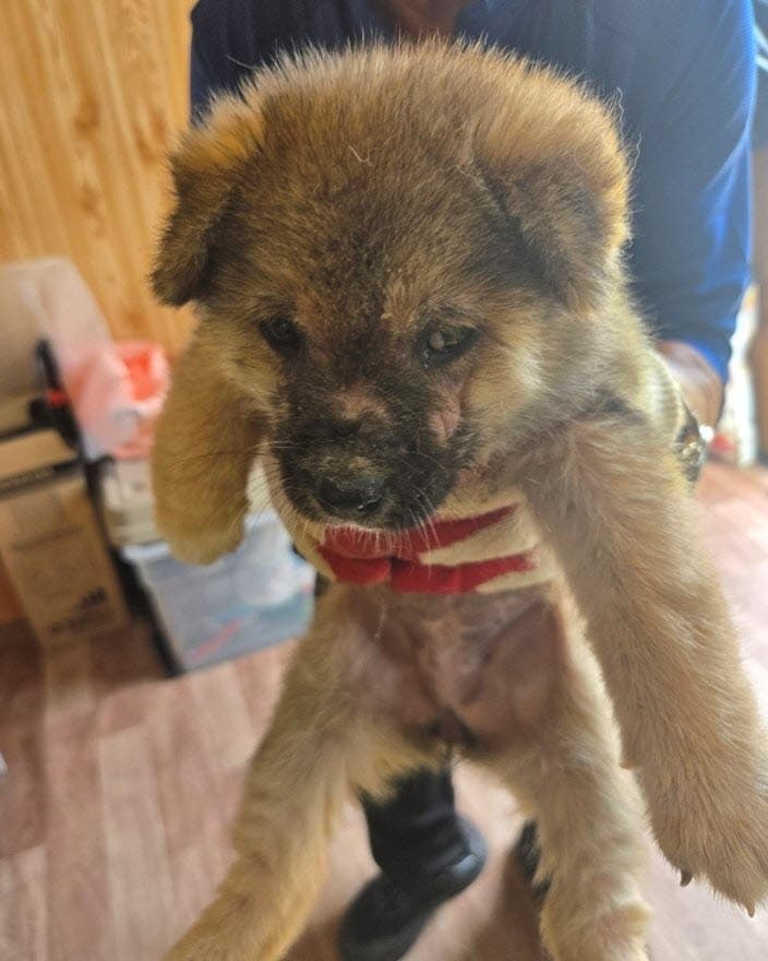 충청남도 공주시 000114 구조 사진