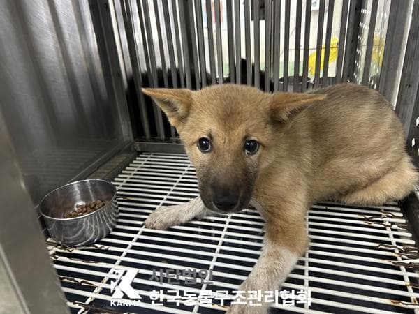 서울특별시 양주시 000114 구조 사진