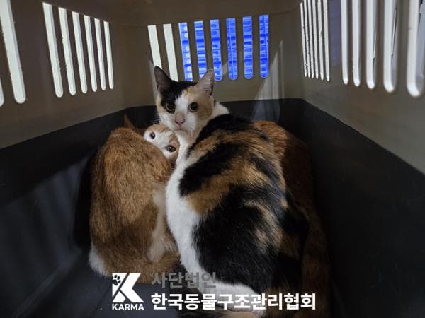 서울특별시 양주시 000200 구조 사진