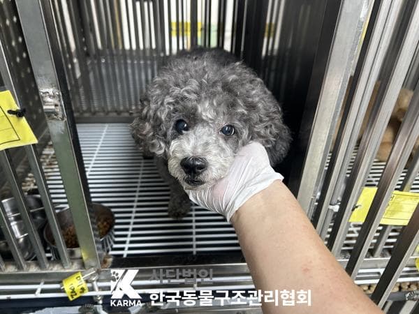 서울특별시 양주시 000128 구조 사진