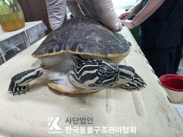 서울특별시 양주시 000117 구조 사진