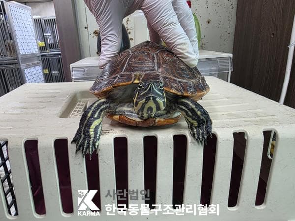 서울특별시 양주시 000117 구조 사진